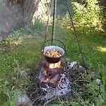 Farma Z Basenem & I Alpakami