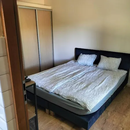 Z Basenem&spa I Alpakami Gospodarstwo agroturystyczne