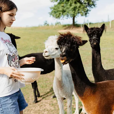 Gospodarstwo Agroturystyczne Z Basenem & Spa I Alpakami Farm stay Elk