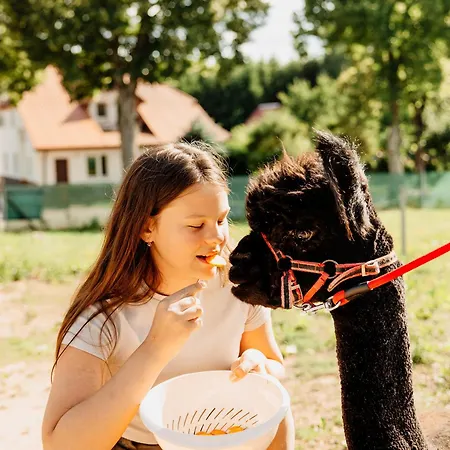 Gospodarstwo Agroturystyczne Z Basenem & Spa I Alpakami *